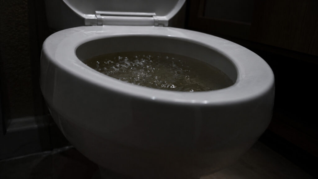 Main Sewer Line Backup vs. Drain Clog: How to Tell the Difference