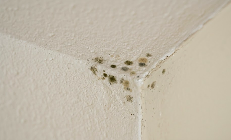 Signs of a Hidden Water Leak Behind Your Walls (Before It Wrecks Your Home)